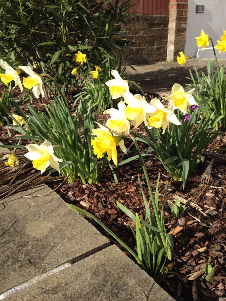 the making of lola - in Britain