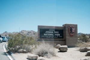 The Making of Lola - Coachella