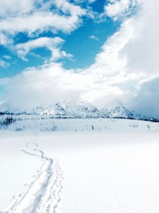 The Making of Lola - Lyngen Alps