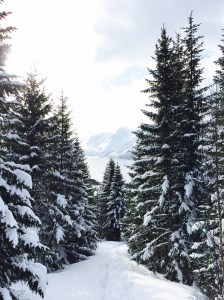 The Making of Lola - Lyngen Alps